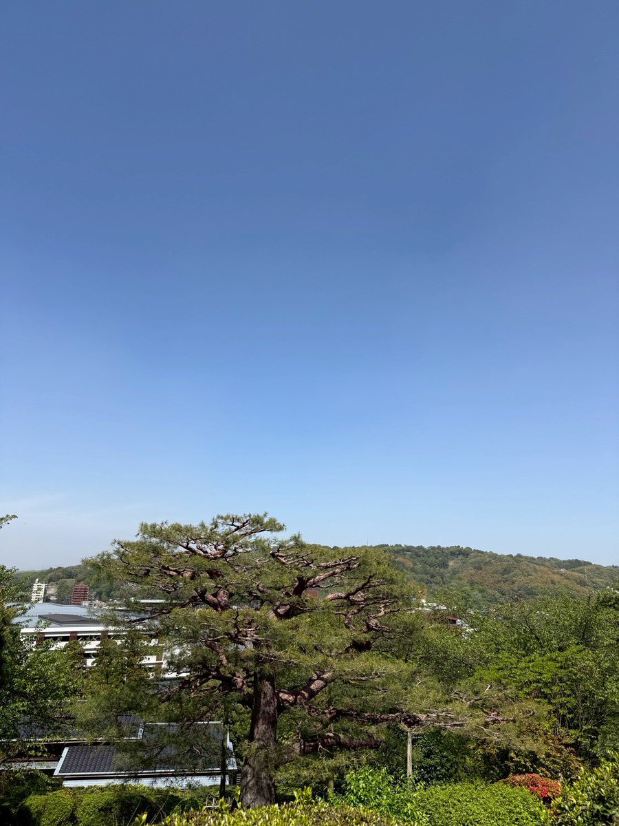 o91nm's tweet photo. https://t.co/vFkLWfKf5z