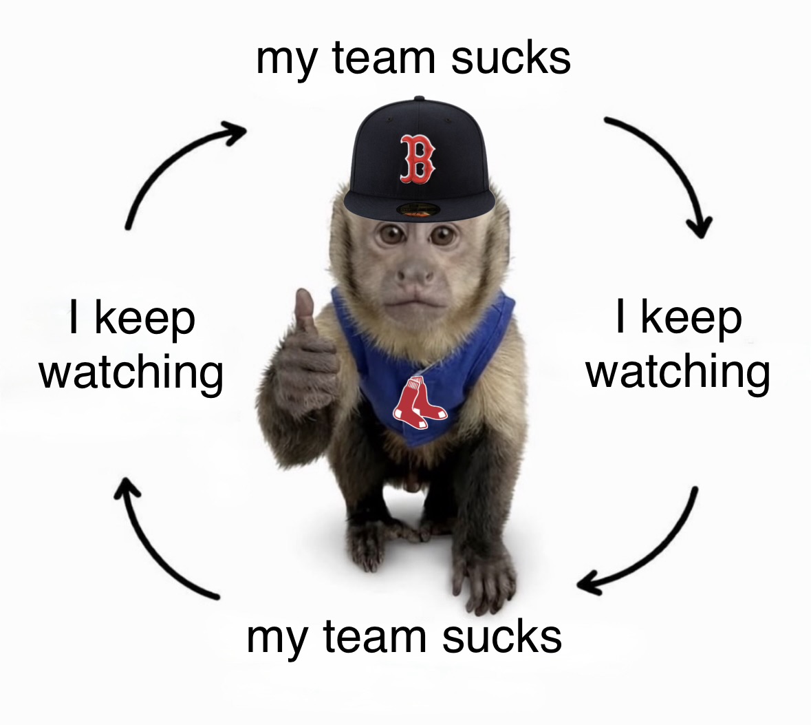 FenwayAttendee tweet media