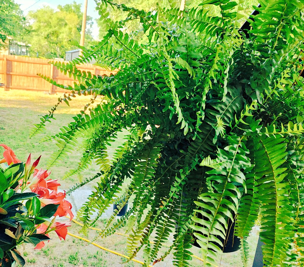 alexangus's tweet photo. Thoughts of you run freely through this mind
Memories unfolding becoming this rhyme
Every second since then is born again becoming new
With all this emotion these hollows are making things blue
Forever you are that flame lighting this soul
As without you it would not exist at all https://t.co/gV1J1qrd3H