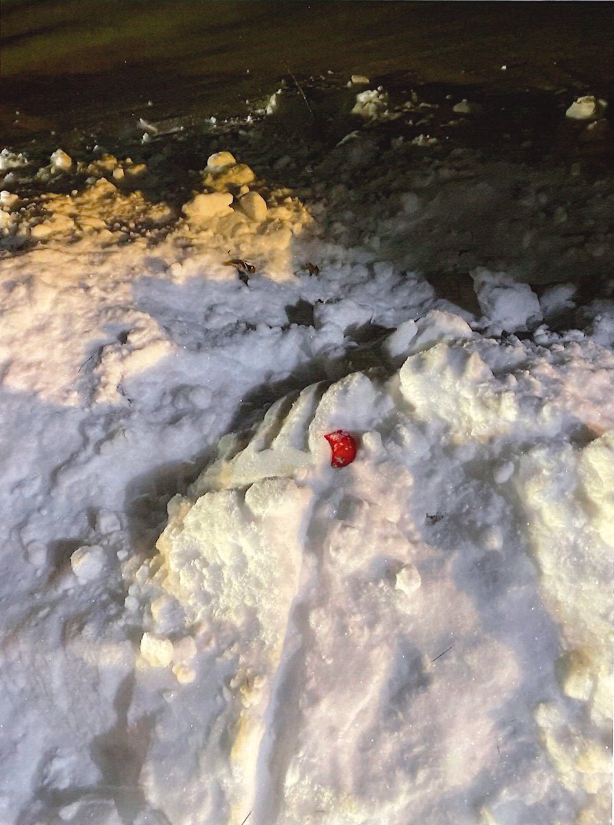 The Trial Channel tweet media