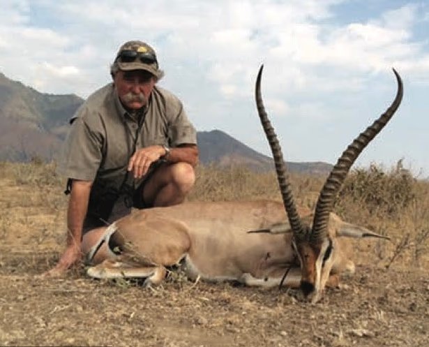 Informa Cosmos tweet media