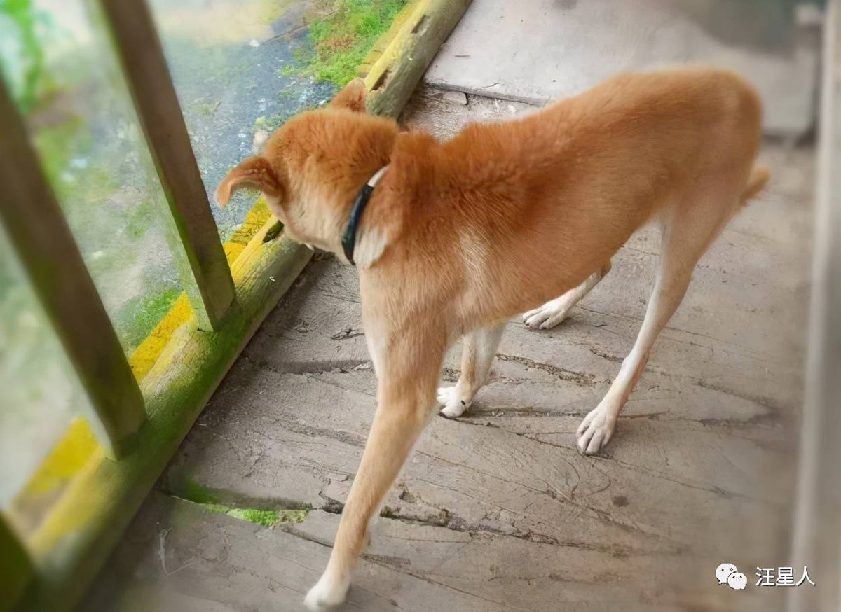 Mauricio Gama tweet media