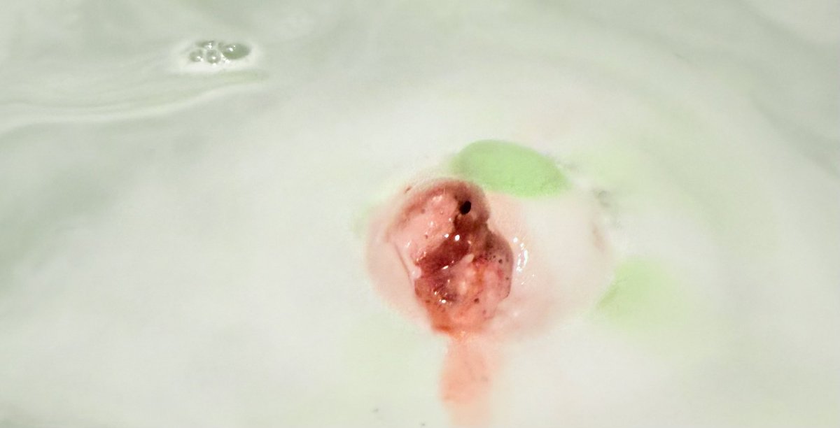 Fuzuki Miki 🎀✨ tweet media