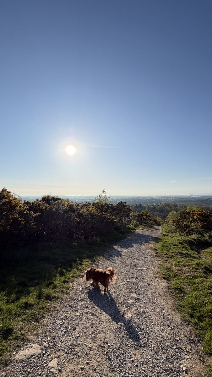 Fun Friday night adventures have returned now the weather is better ☀️ #CavPack