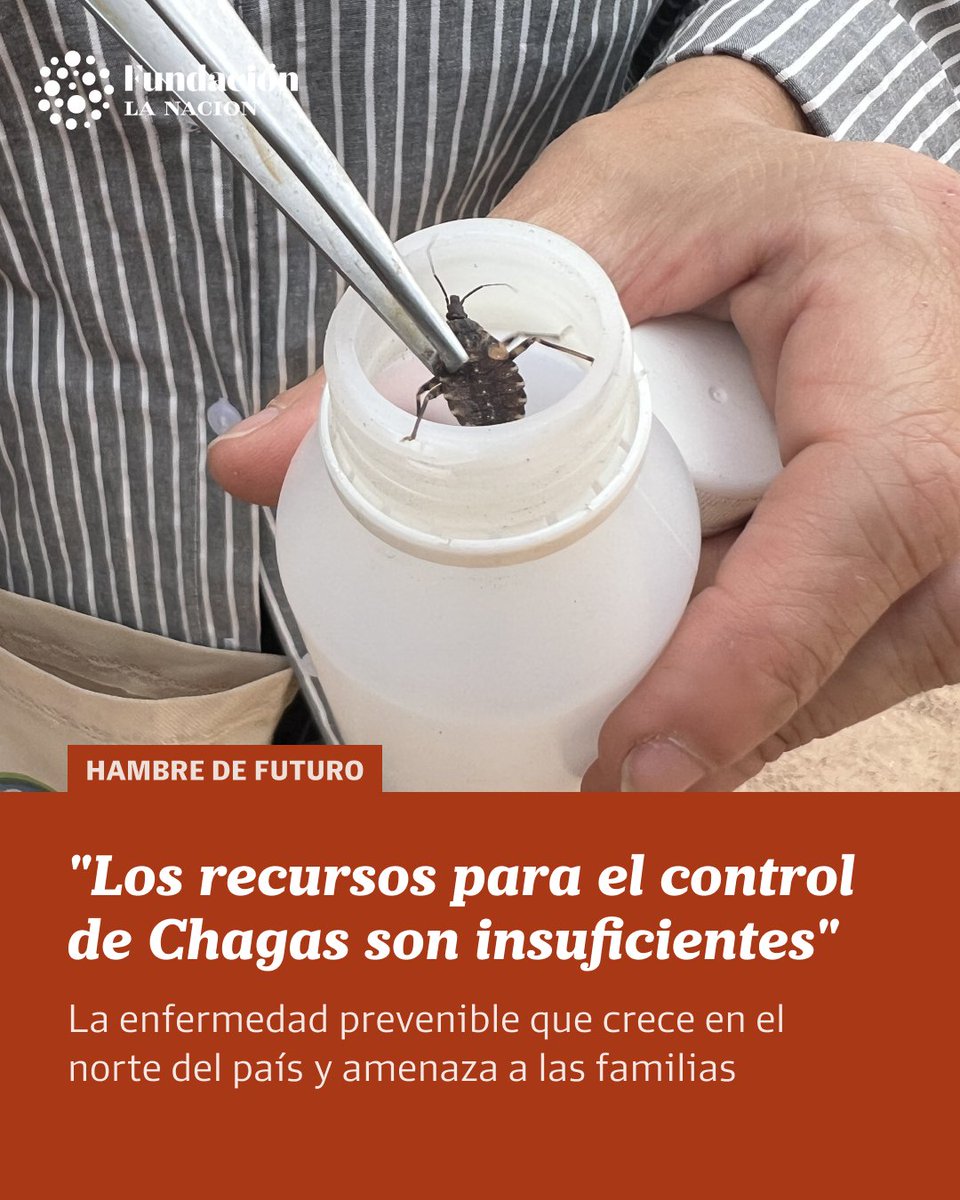 LANACION's tweet photo. La enfermedad de Chagas es la principal endemia que enfrenta la Argentina. Si bien no hay estadísticas recientes, la Organización Panamericana de la Salud (OPS) estima que existen 1.500.000 de infectados en nuestro país.

En Chaco, las limitantes geográficas y de recursos son las que determinan la efectividad con la que se está combatiendo la erradicación de las vinchucas, que son las que transmiten la enfermedad.

👉https://t.co/mTvhtC4hnN