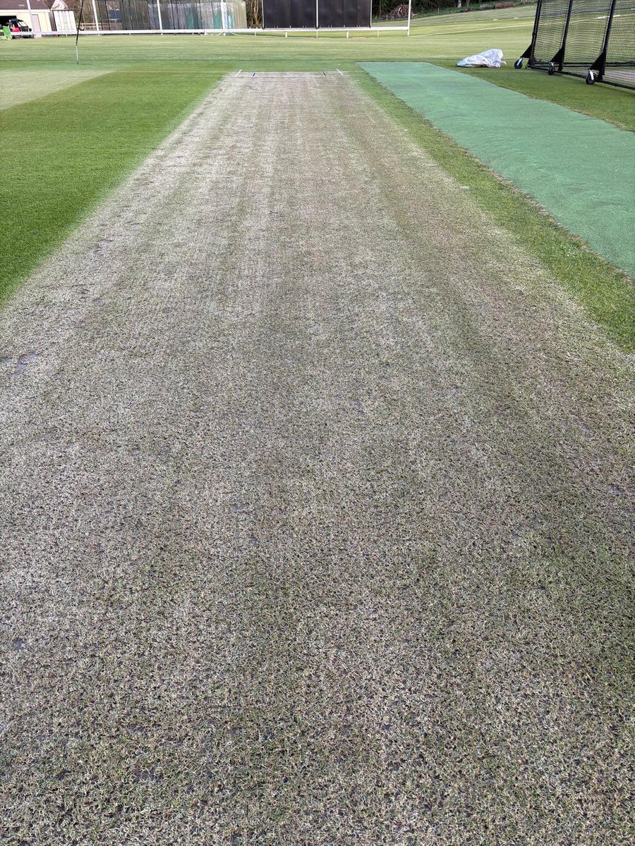 Waringstown CC tweet media