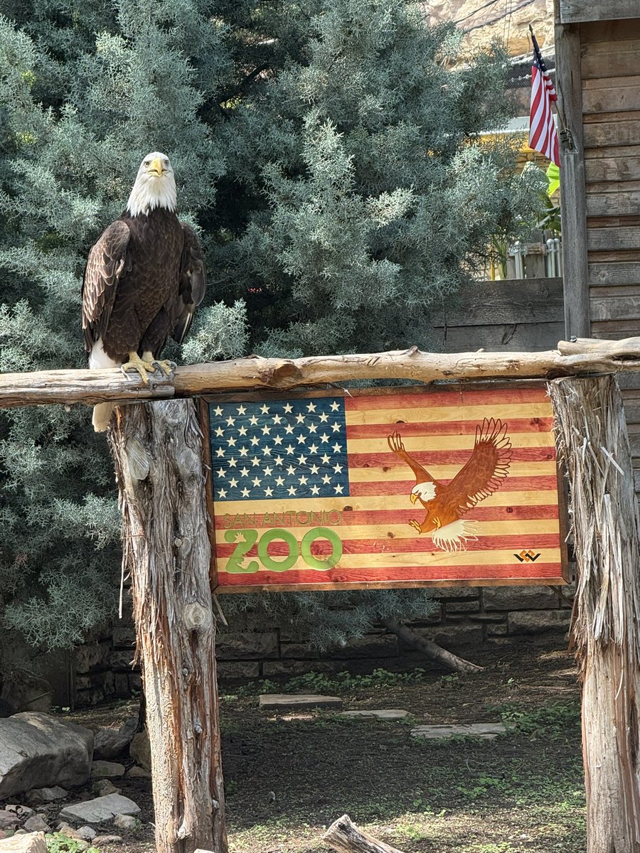 EndGameWW3 🇺🇸 tweet media