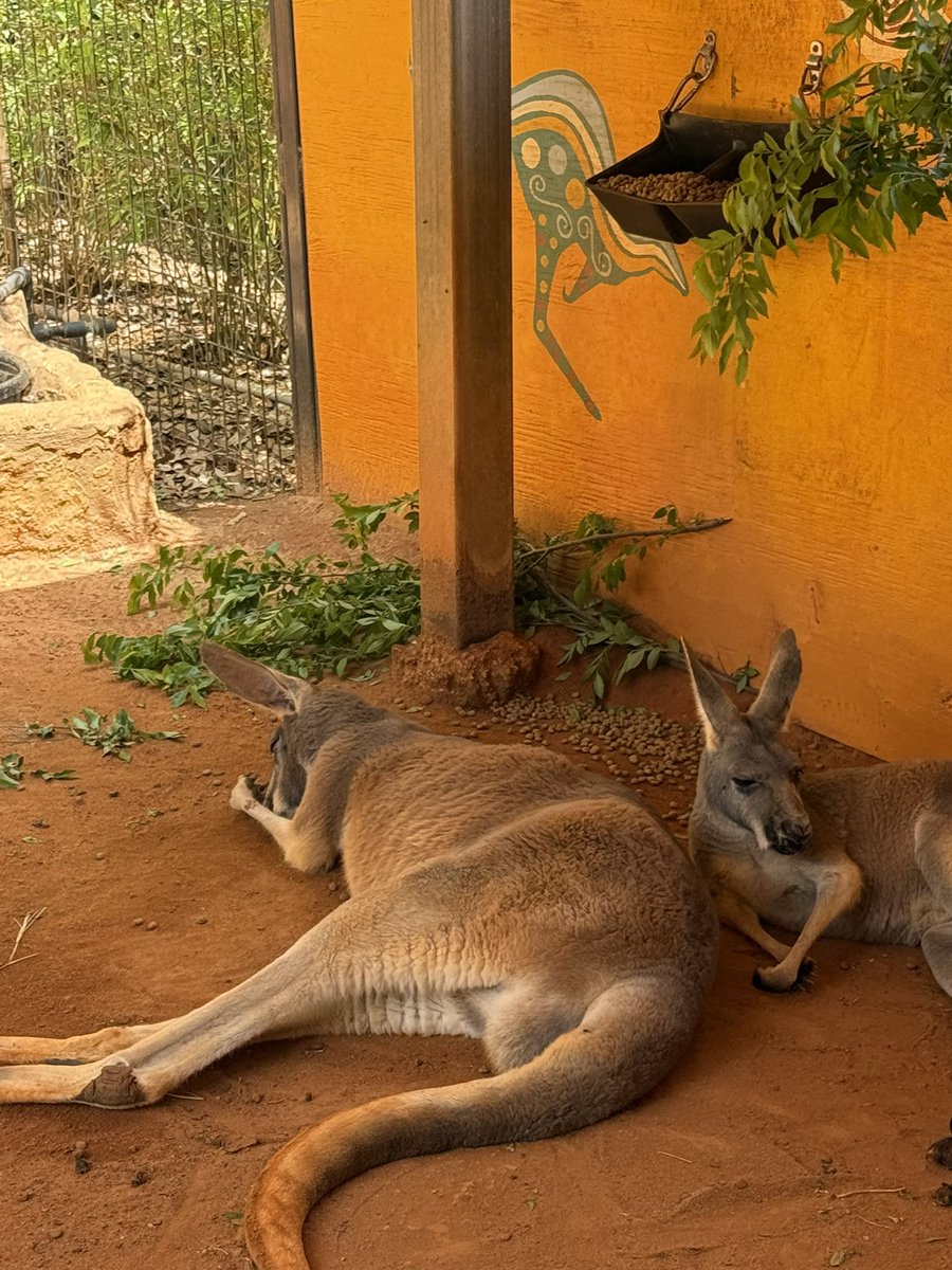 EndGameWW3 🇺🇸 tweet media