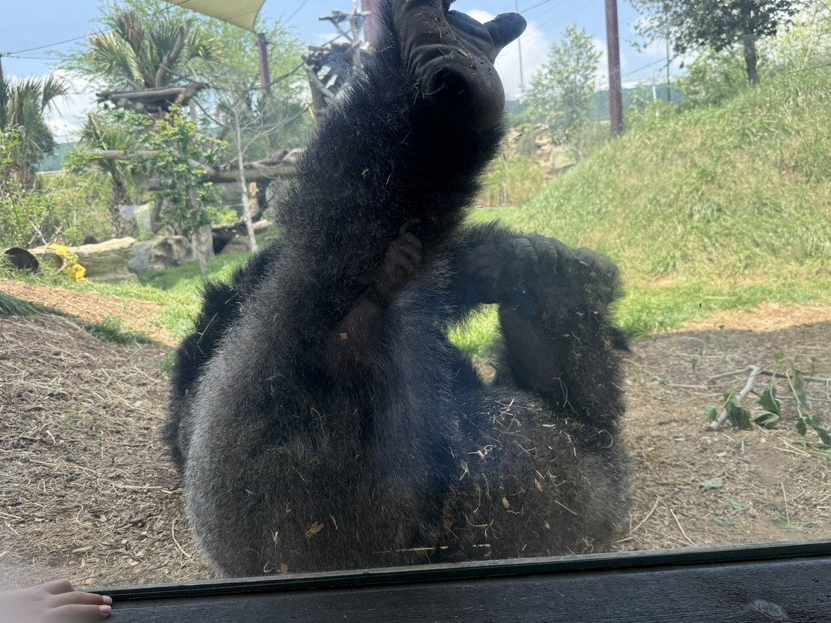 EndGameWW3 🇺🇸 tweet media