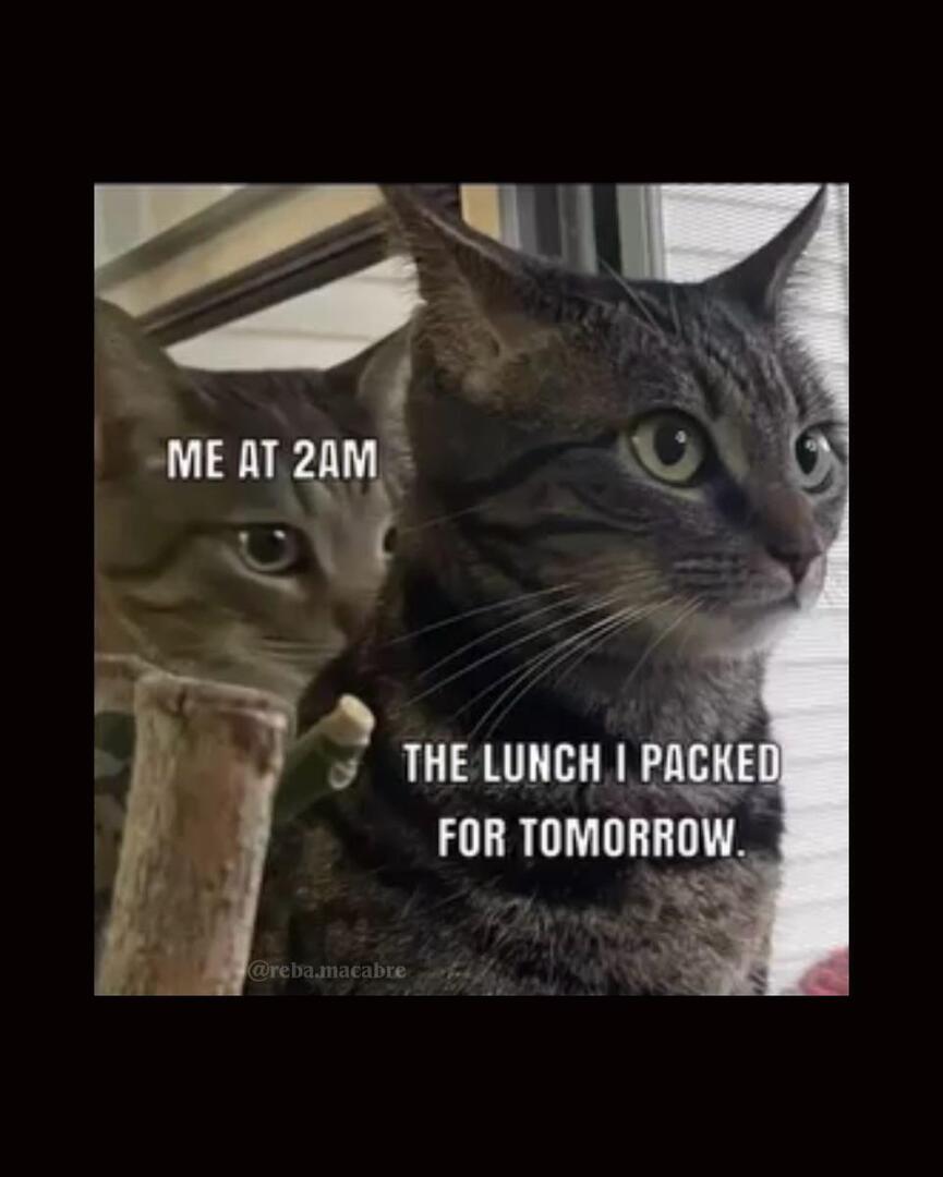 memesalvatore's tweet image. 🌙 🍝 ⏲️ /u/TimeProfessional9454 #dankmemes #memes