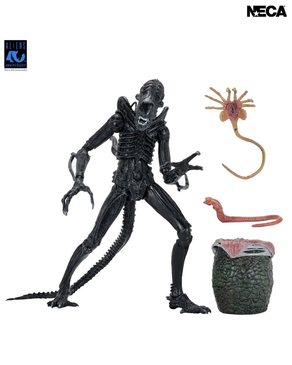 WeylandUplink's tweet image. @NECA_TOYS unveil #Aliens 40th Anniversary Ultimate Warrior Xenomorph Action Figure for #AlienDay 2026!

See more at: alien-covenant.com/news/neca-alie…