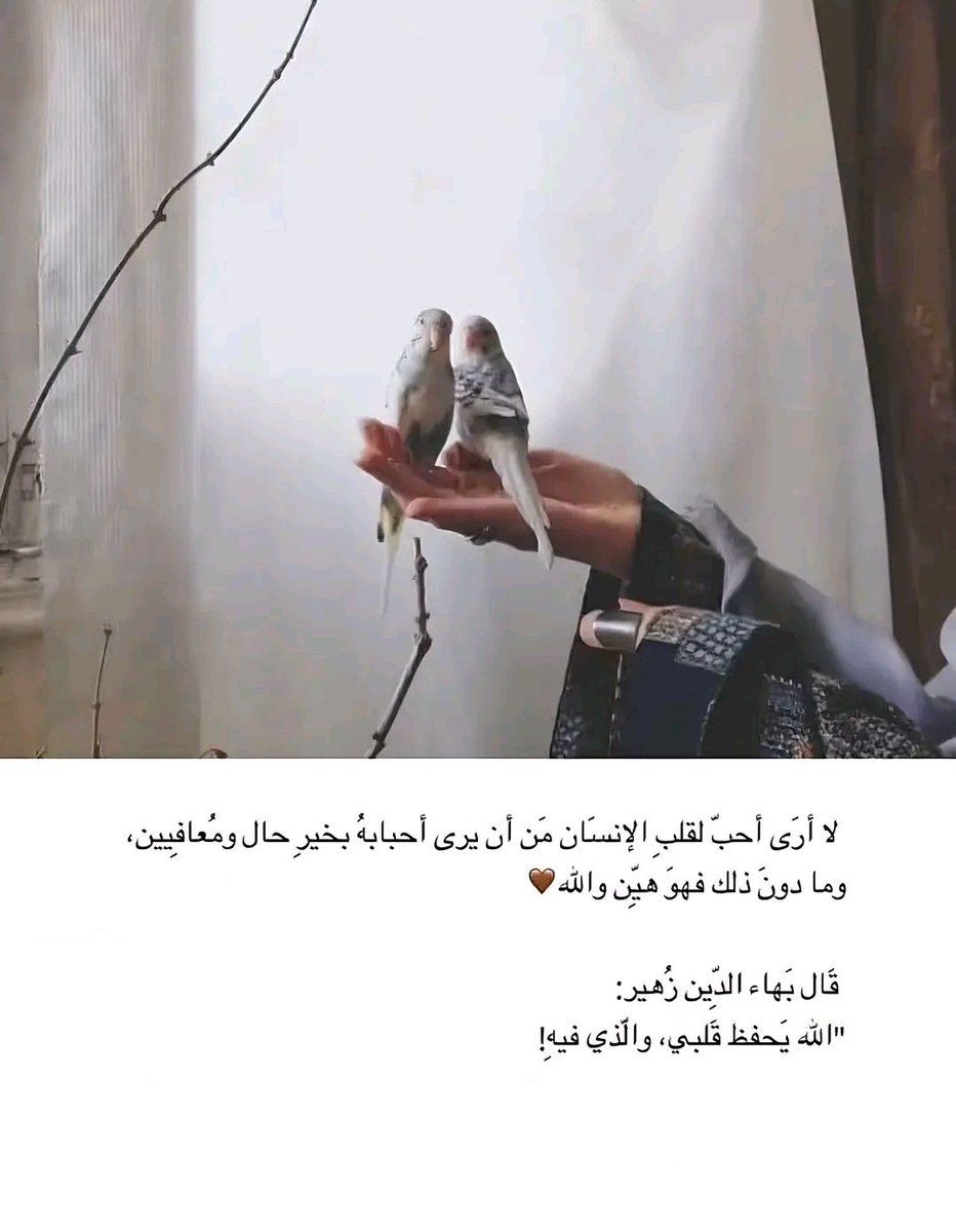 Abeer🌷 tweet media