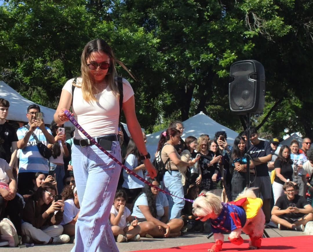 diariohoynet's tweet image. 🐕✨ #Mascotas | #LaPlata 

Gran desfile de mascotas en La Plata

La jornada también incluirá un espacio de adopción responsable, vacunación gratuita para perros y gatos y concientización.

diariohoy.net/interes-genera…