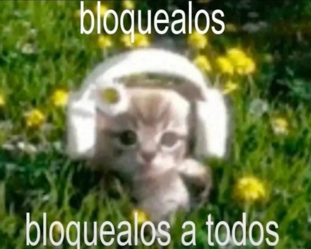 Mundo de Bigotes (@mundodebigotes) on Twitter photo 