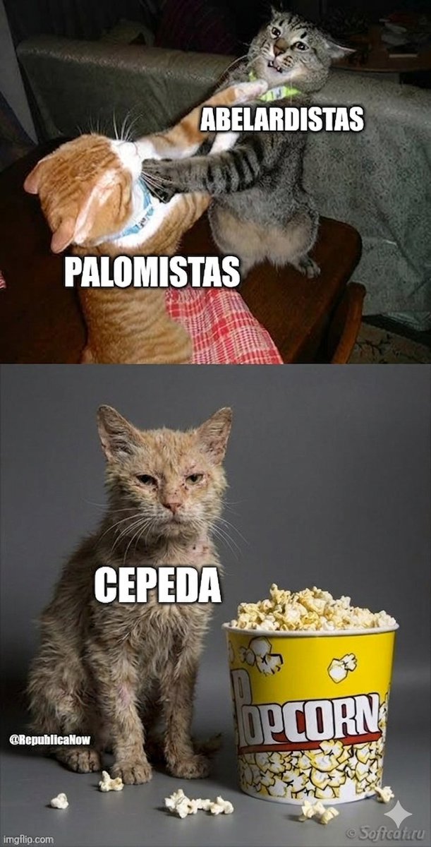 Yo sigo haciendo memes a ver si entienden lo que nos estamos jugando 🤦‍♂️