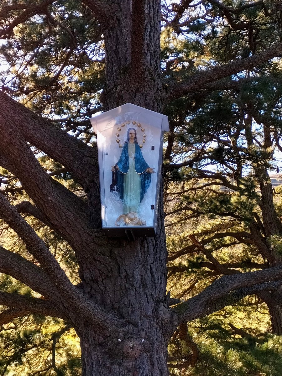 ¡Por fin voy a poder consagrarme al Inmaculado Corazón de María! 🙏🏼

"La consagración Mariana es dejar a nuestra Madre ejercer toda Su misión en nuestros corazones"

Madre Adela SCTJM Fundadora.