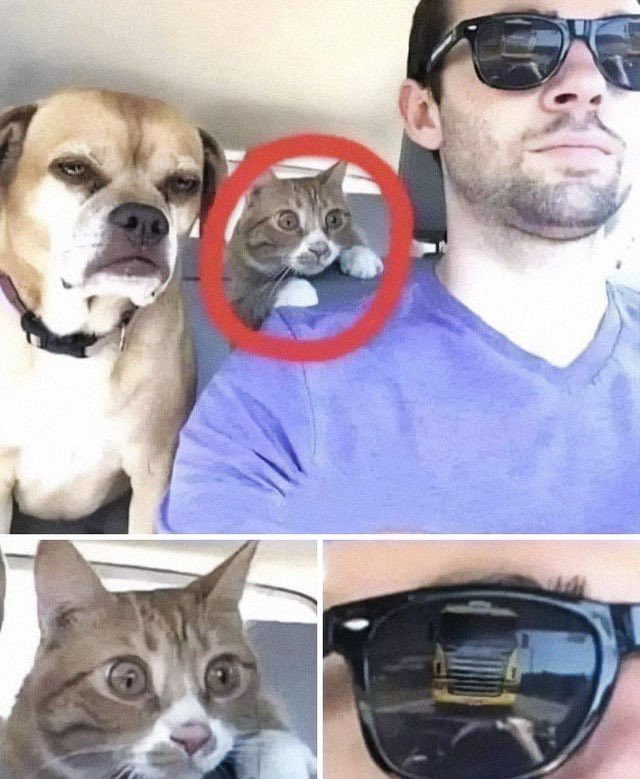 NO CONTEXT HUMANS tweet media