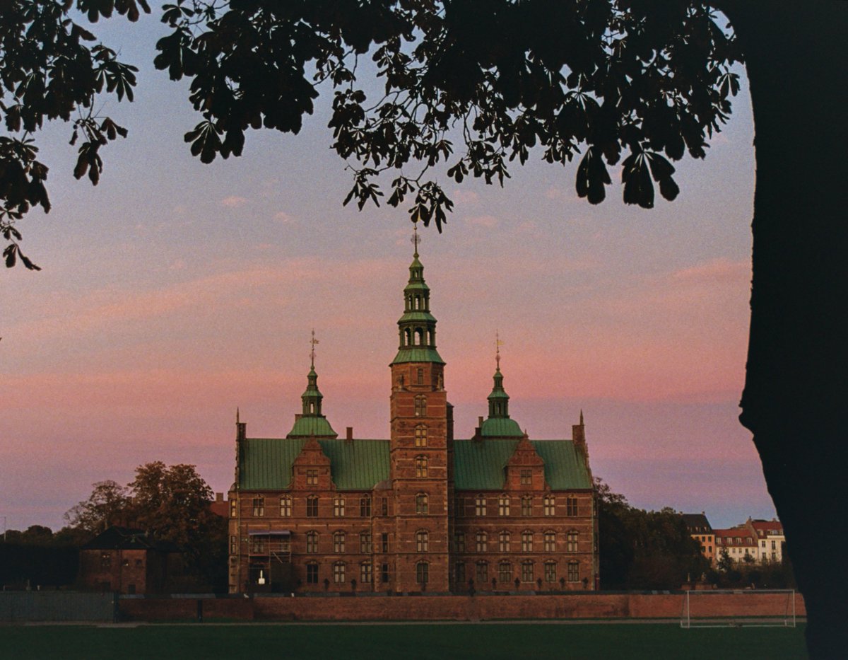 lovechazelle's tweet image. need to get #out there with my camera again