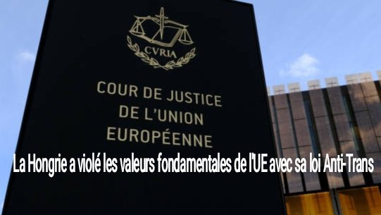 SOS Transphobie Compte Secondaire tweet media