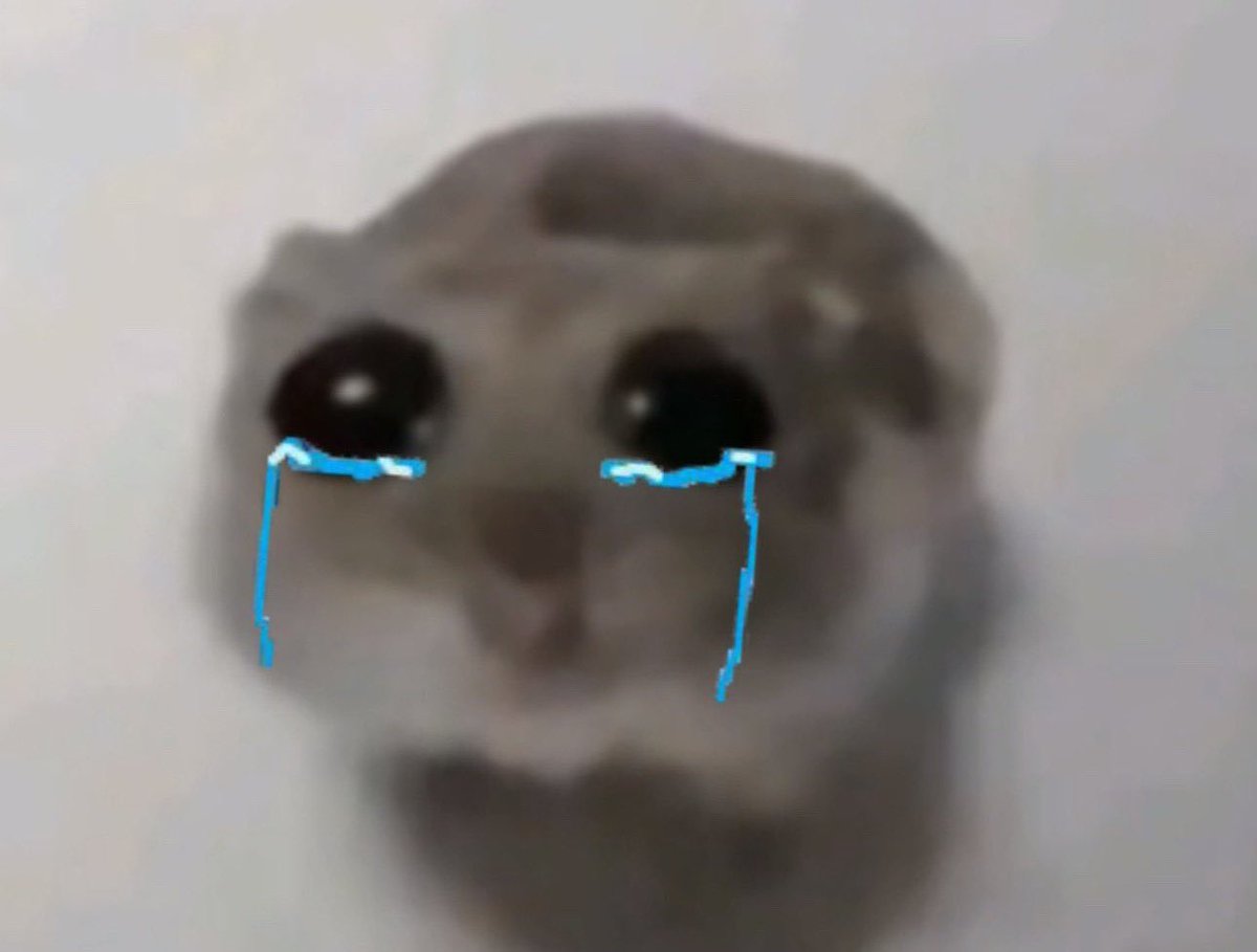 🔻 bir nigapepa ki instagramsız & üç milyon $lı 🔻 tweet media