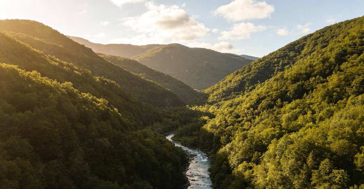 Грицишина Ната tweet media