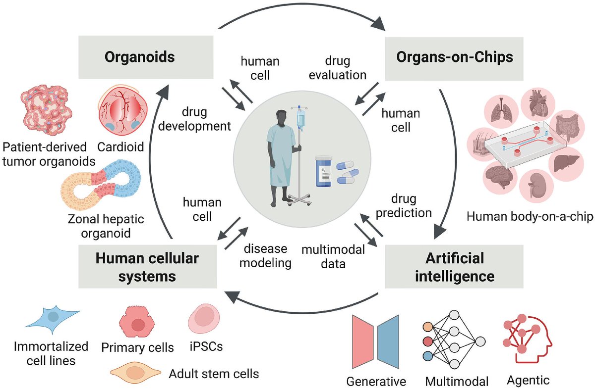 In a new #ScienceReview, researchers discuss a variety of methods to reimagine human-centric drug development.

Learn more: scim.ag/41SHtuZ