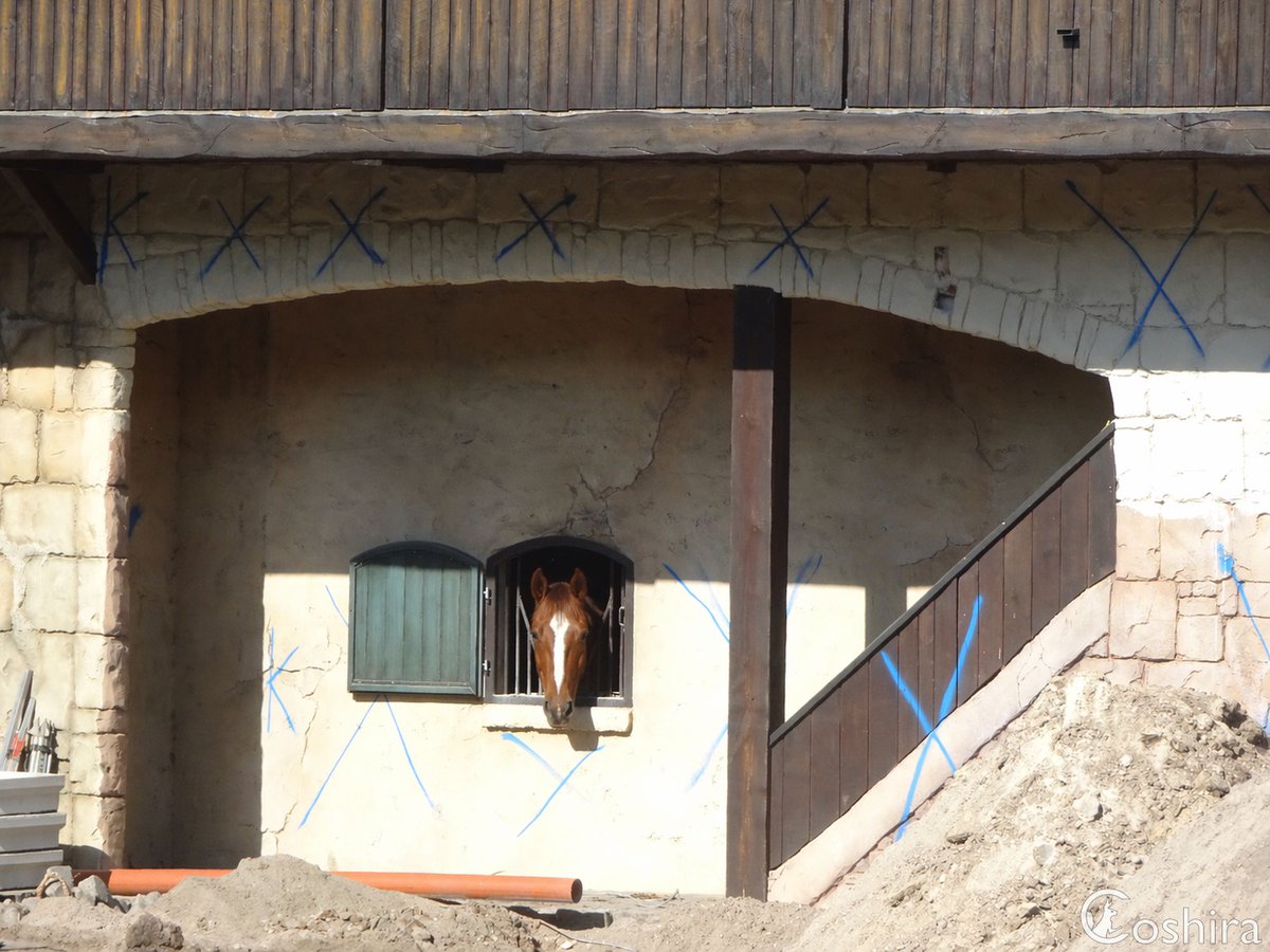 Coshira_'s tweet image. Werkzaamheden #Raveleijn #Efteling
En raad het plaatje. Welke foto is bewerkt? 😜