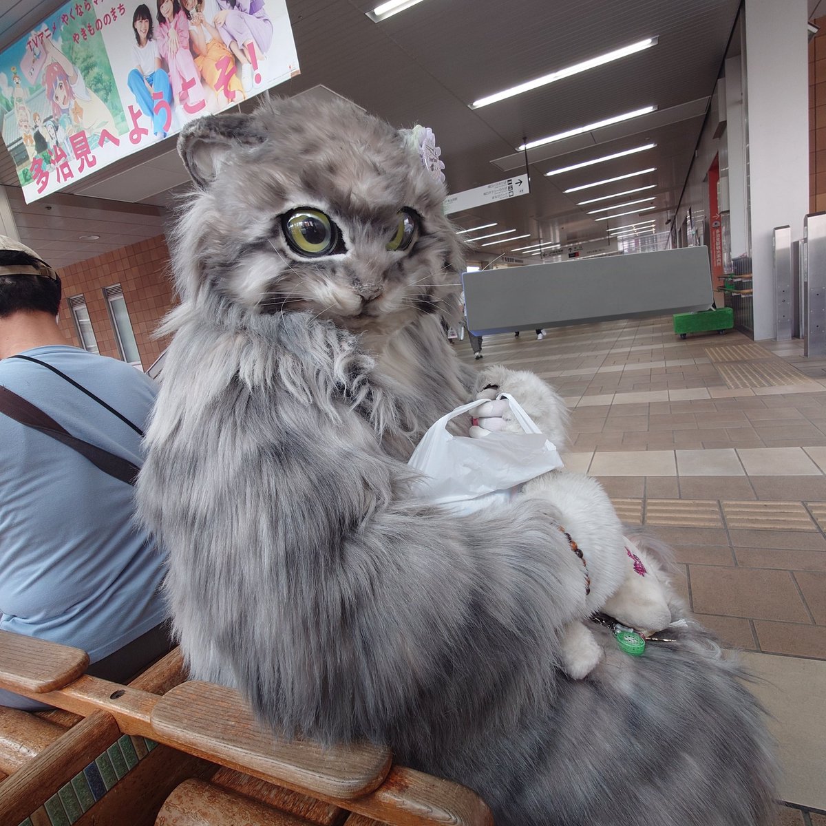 ンヤダグ(雷撃猫's桐緒)🍴 tweet media