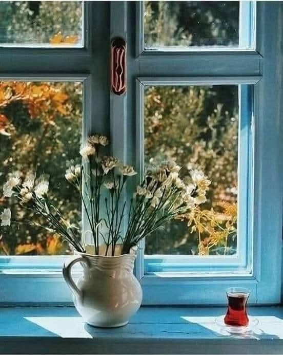 🌱⚘️بنت من مصر ⚘️🌱 tweet media