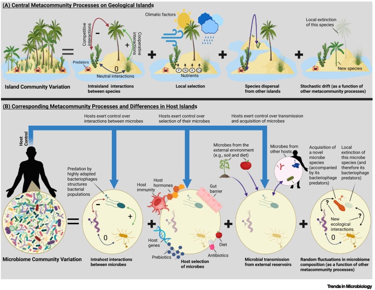 Trends in Microbiology tweet media