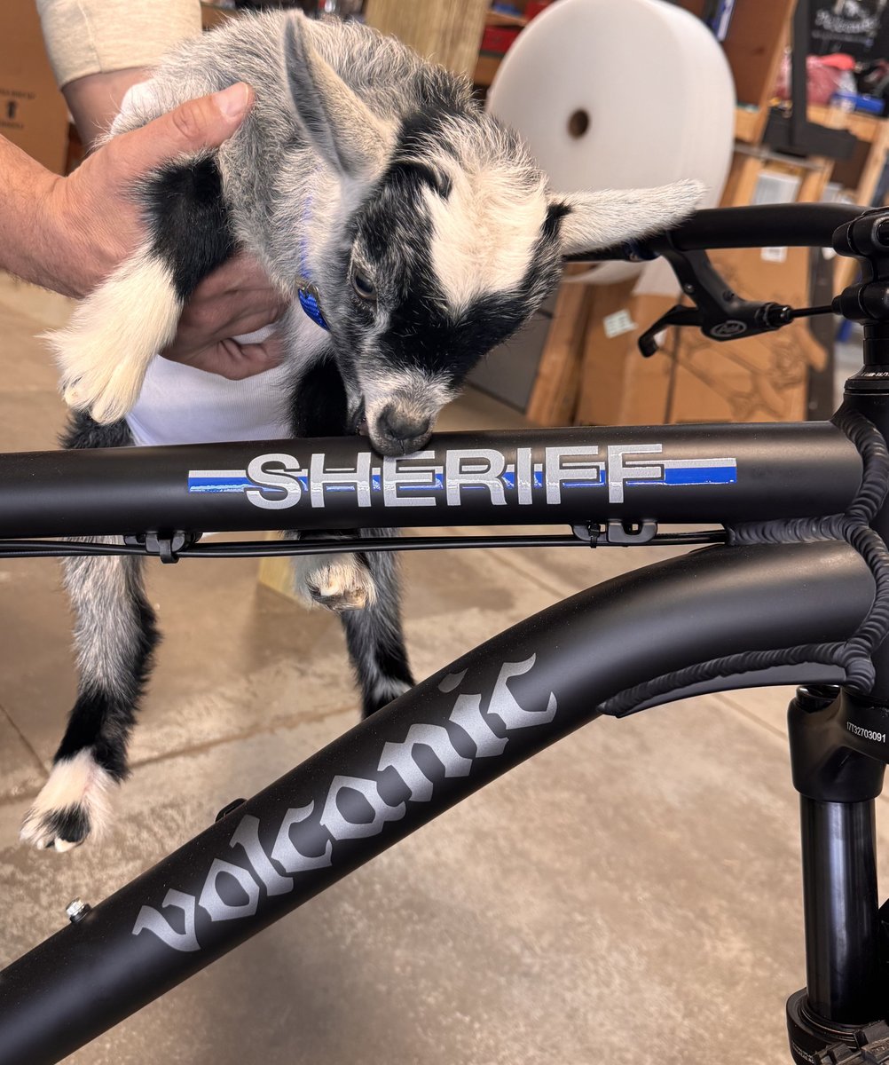 DCSO - Omaha, NE tweet media