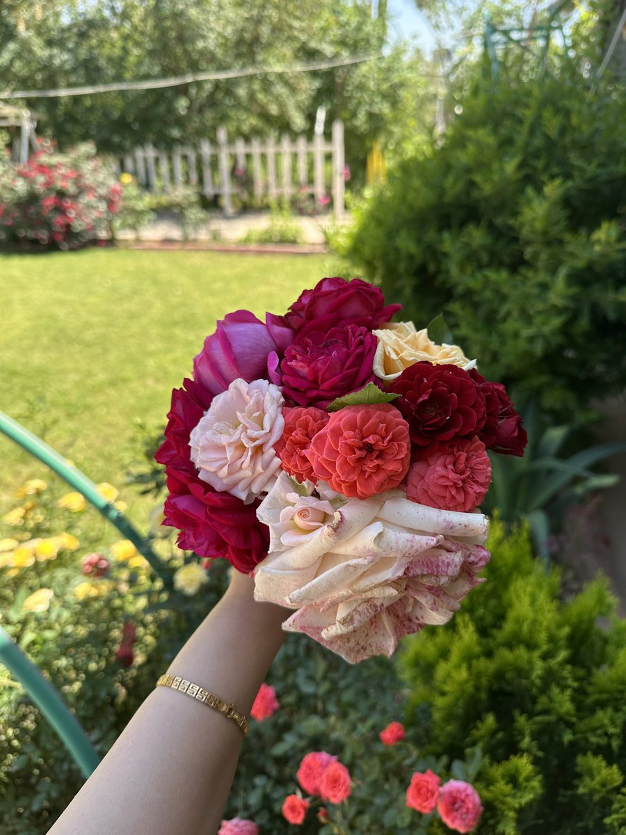 HUDA🦋 tweet media