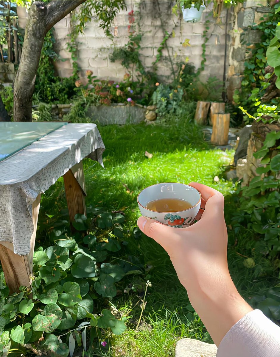 meghana rao kotagiri tweet media