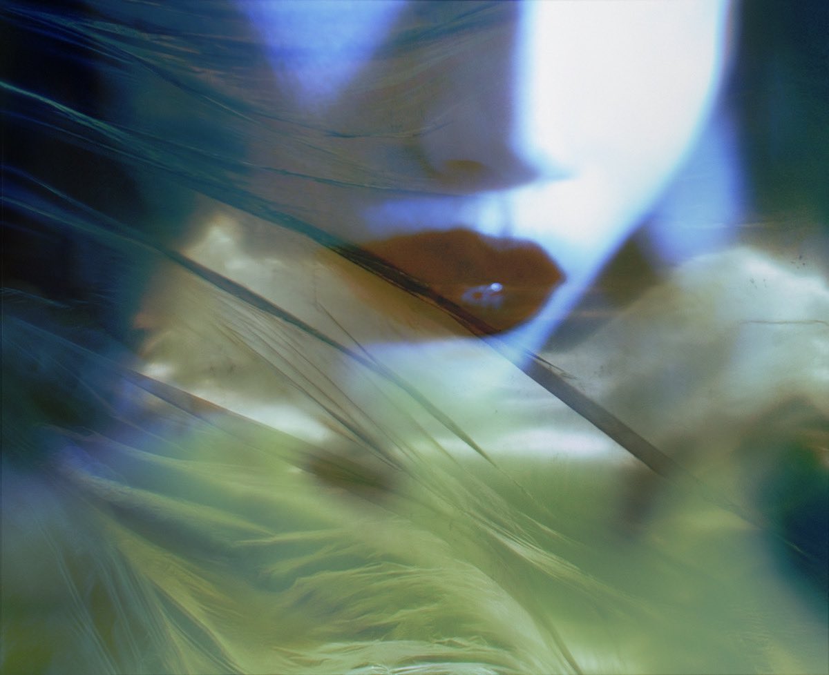 Mia ✦彡 tweet media