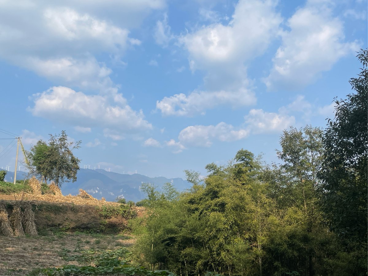 Accident_Prone tweet media