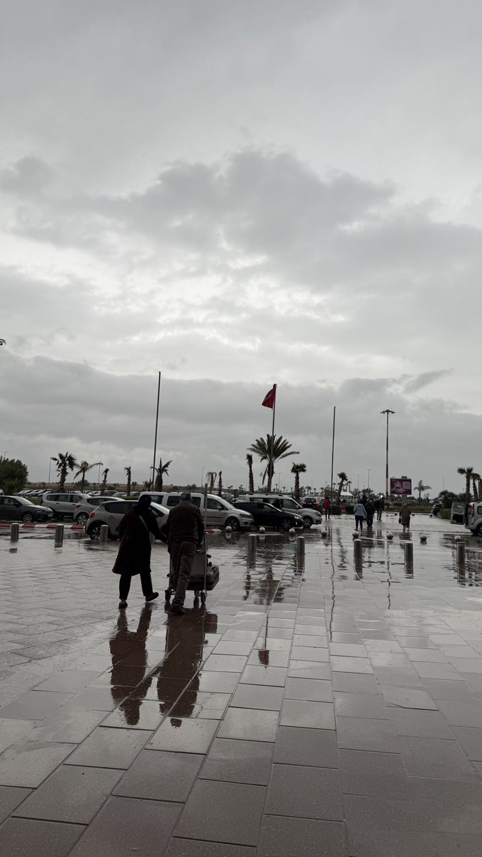 🇲🇦 tweet media