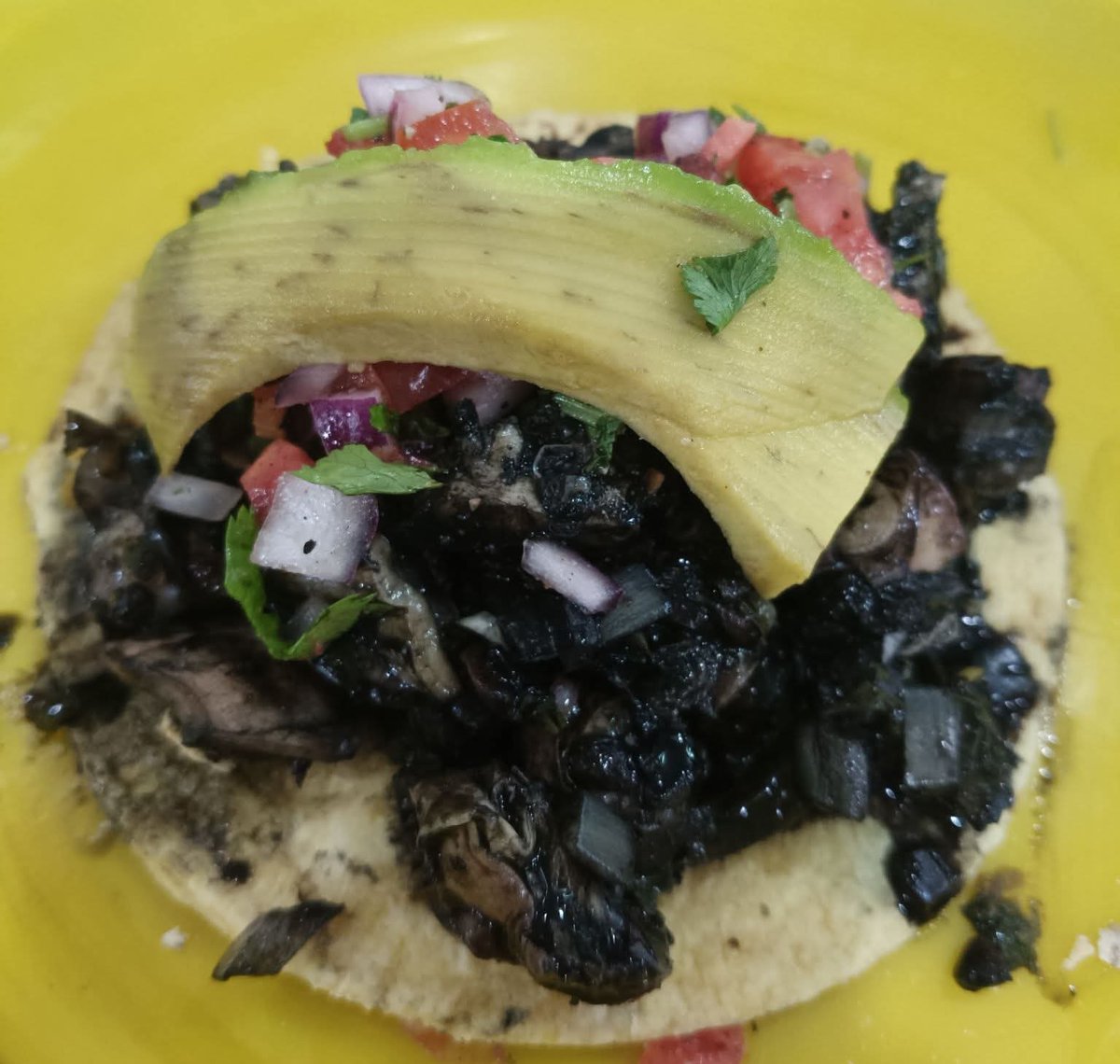 Alex Baqueiro tweet media