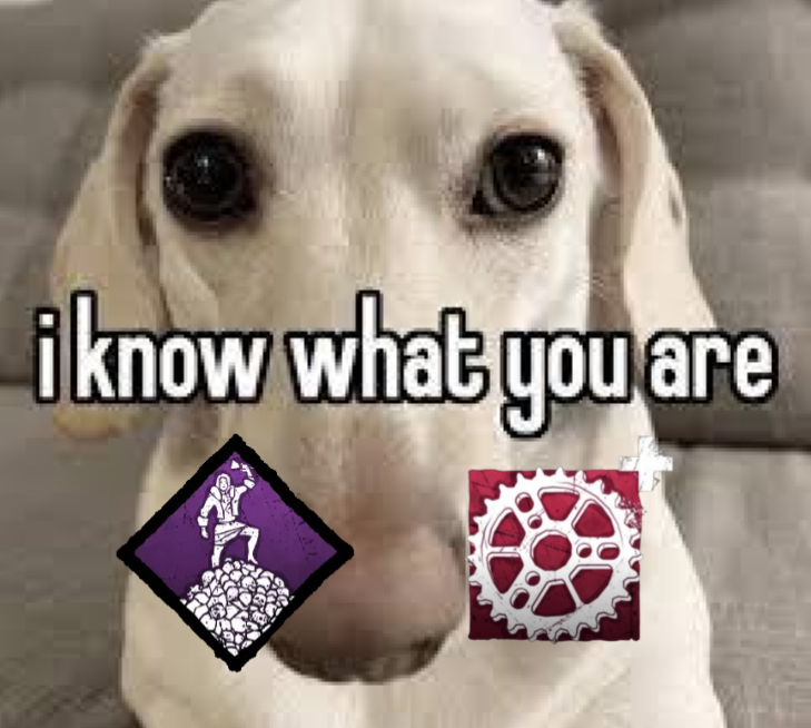 Mr. Fairfield 🦦 tweet media