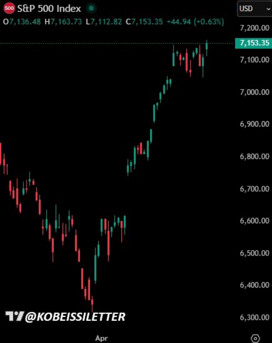 Alerta News 24 tweet media