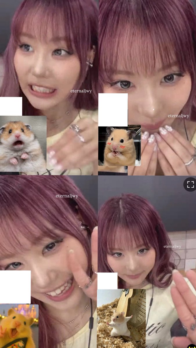 260424 MAKESTAR

cutest hamster 

#JIEUN #지은 #YOUNGPOSSE #영파씨