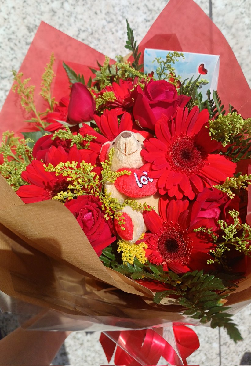 sério que coisa linda 🥹