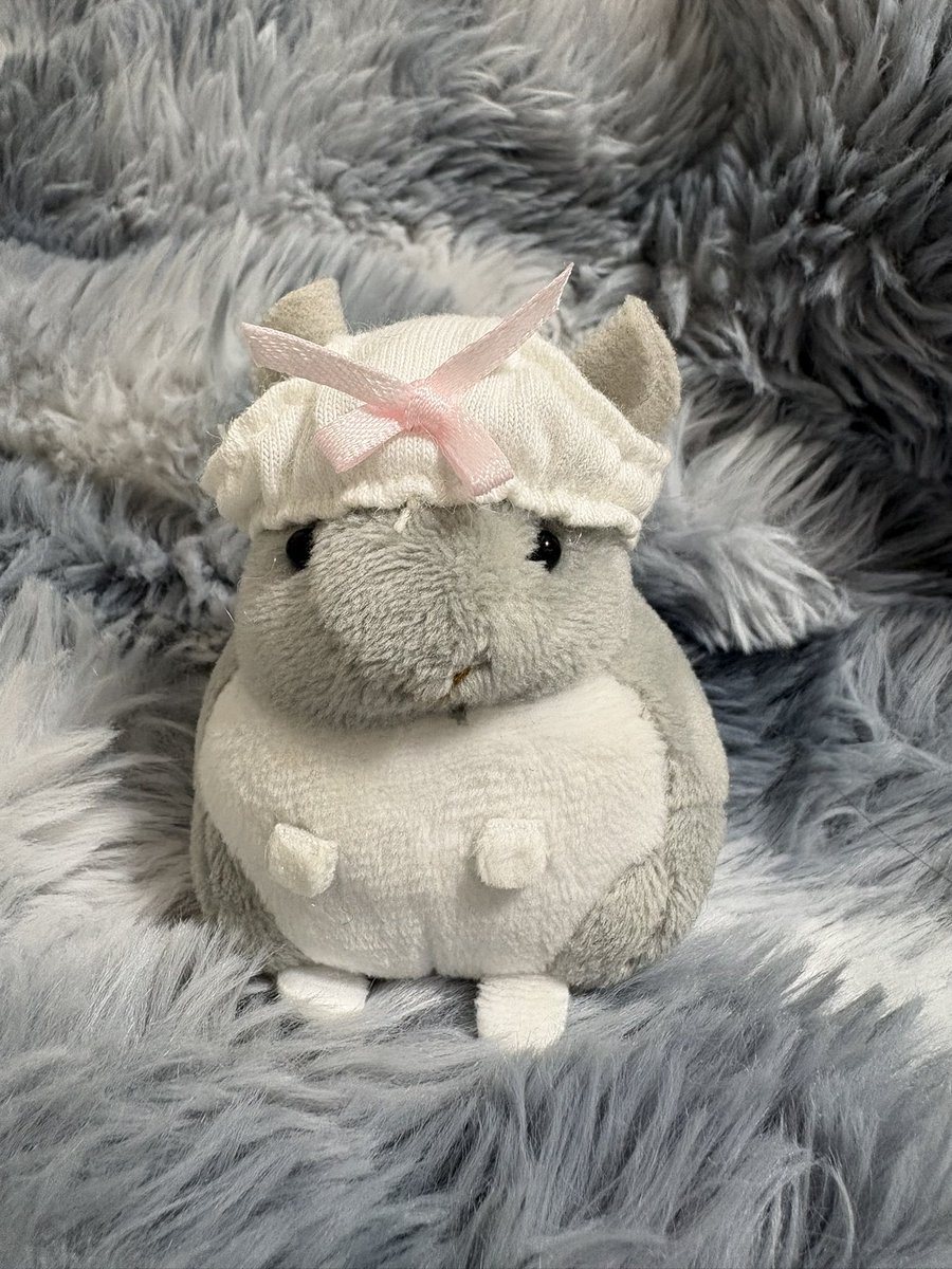 チンチラのすみれと飼い主ゆみ tweet media