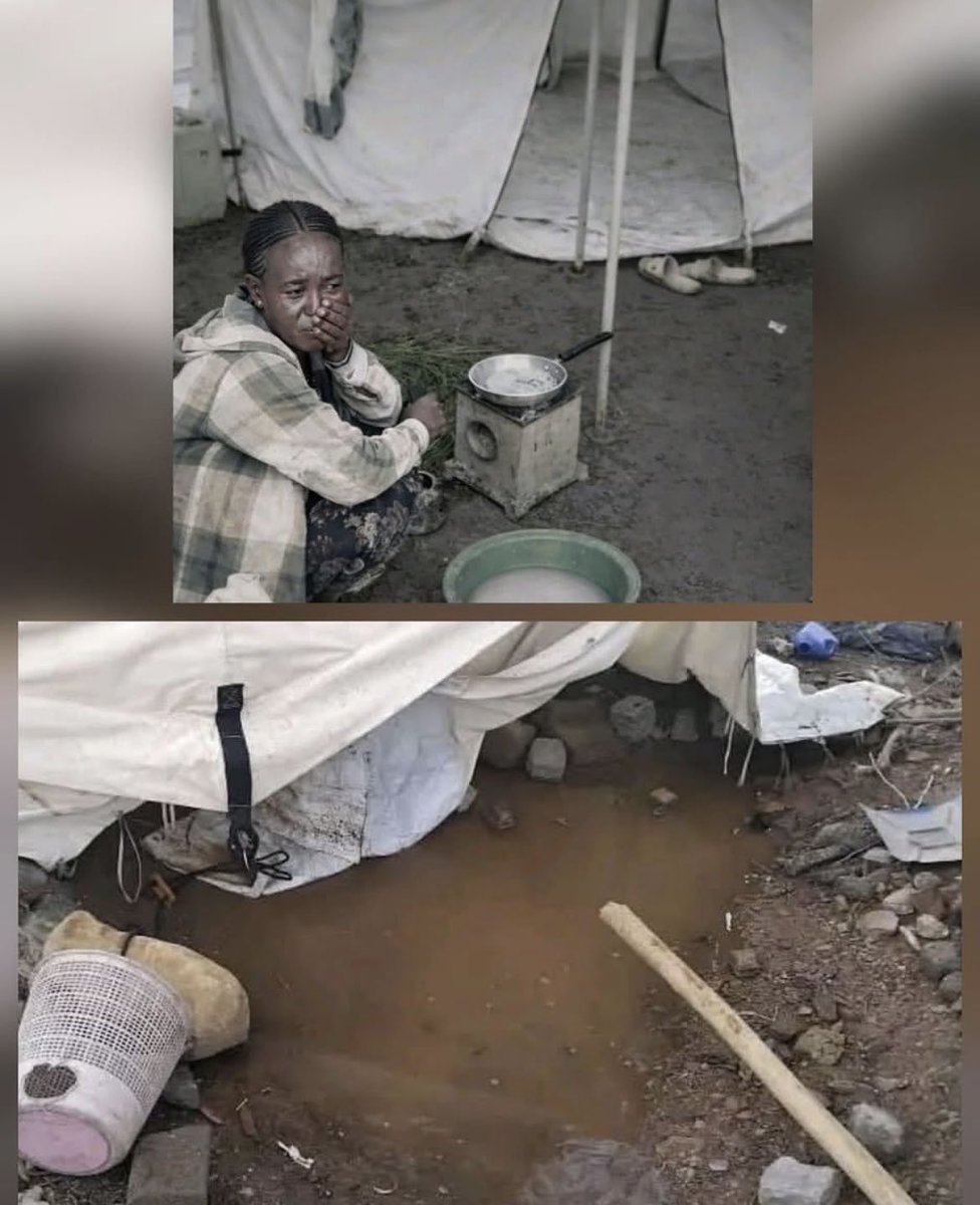 MizerTigrewayti's tweet photo. When will the humanitarian suffering of the people of Tigray end? 

Over 2.3 million IDPs have been living in tent camps in Tigray for over 5 years and counting. 

No justice, no peace ! #Tigray #Tigryans #Justice4Tigray
@UN @UNICEF @hrw @UNHumanRights @LaetitiaBader @antoniogut https://t.co/91p2tPA3rd