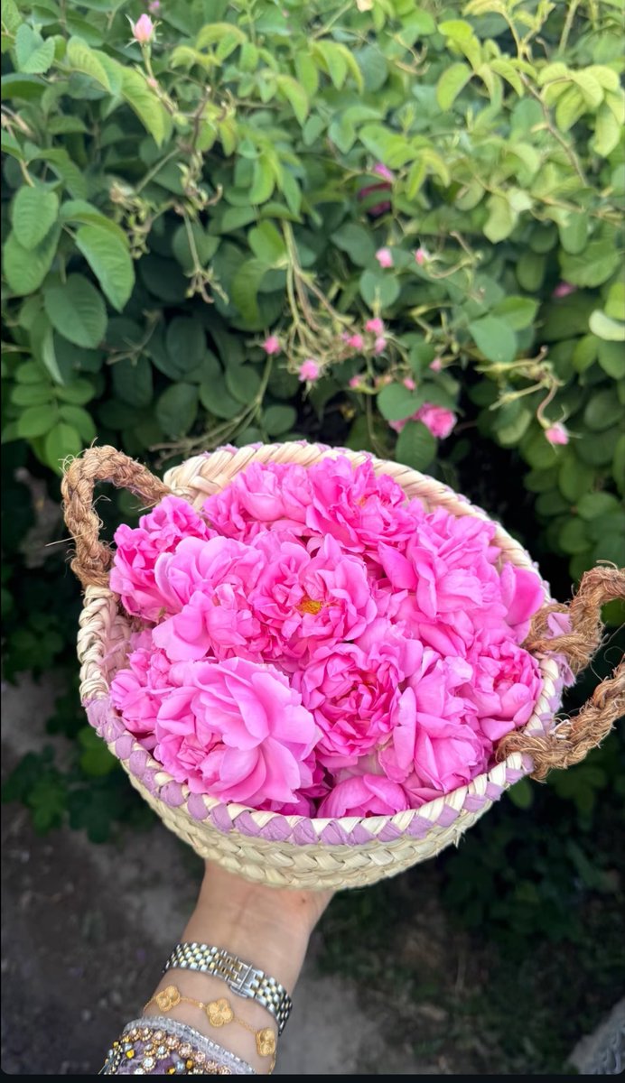 سعيد بن ناصر tweet media