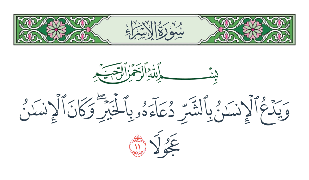 norhan :/ tweet media