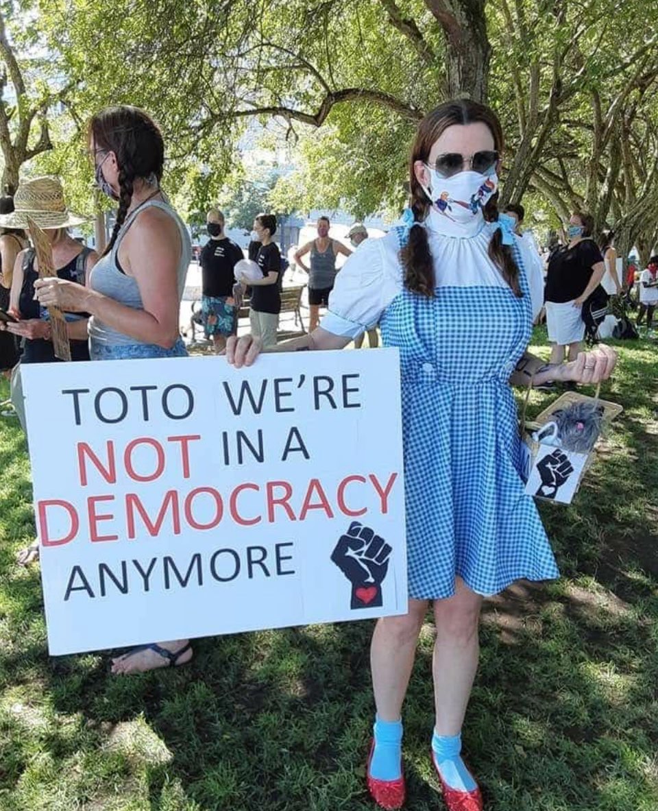 BlueViking10's tweet photo. @WhiteHouse #StopTheSaveAct
#RepublicansCheat
#Republicanscheeto
#TheHandMaidsTale https://t.co/8YkHa71E8g