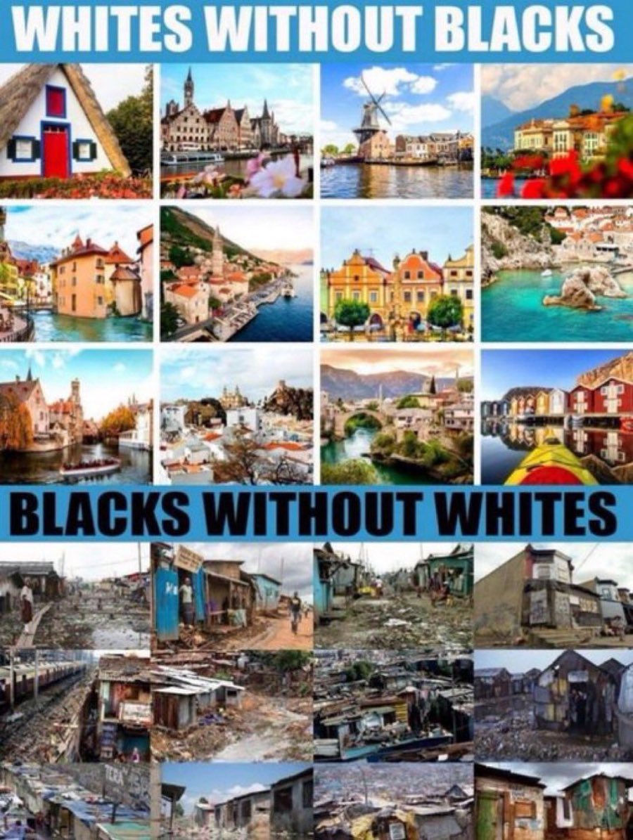 Jane Bennet tweet media