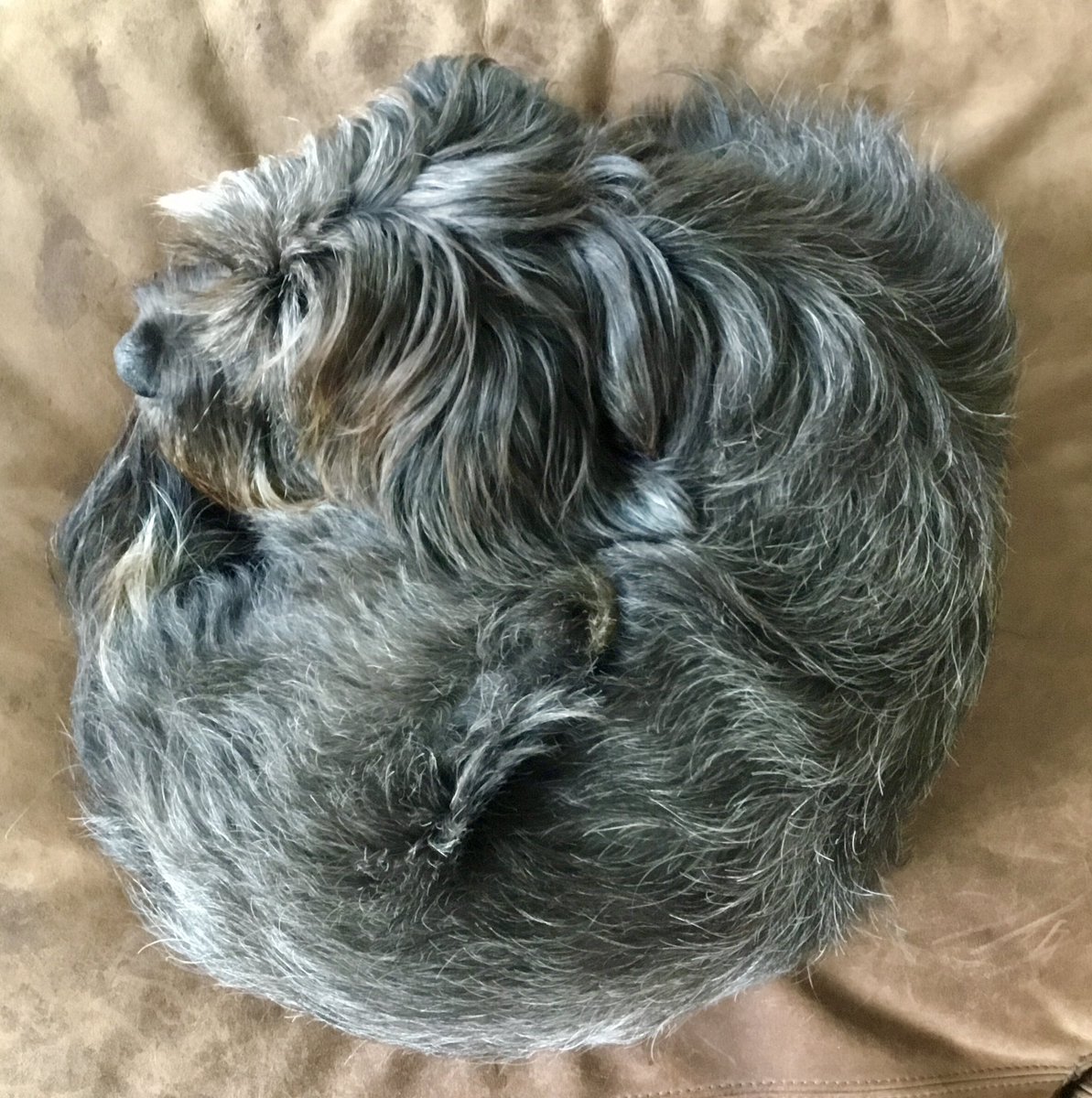 ErikErgens tweet media