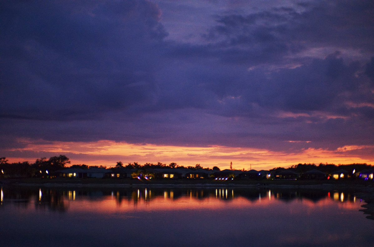 David K 🤔 tweet media