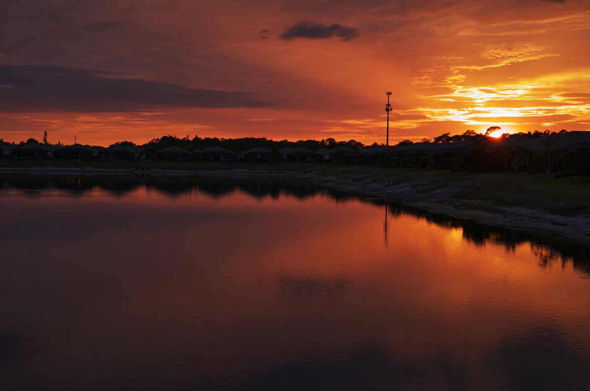 David K 🤔 tweet media